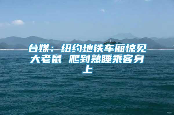 臺媒：紐約地鐵車廂驚見大老鼠 爬到熟睡乘客身上