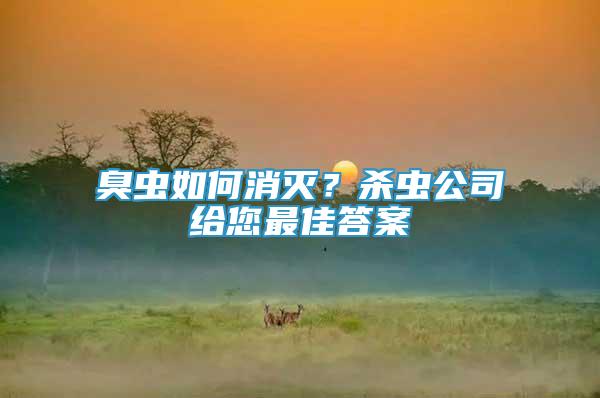 臭蟲如何消滅？殺蟲公司給您最佳答案
