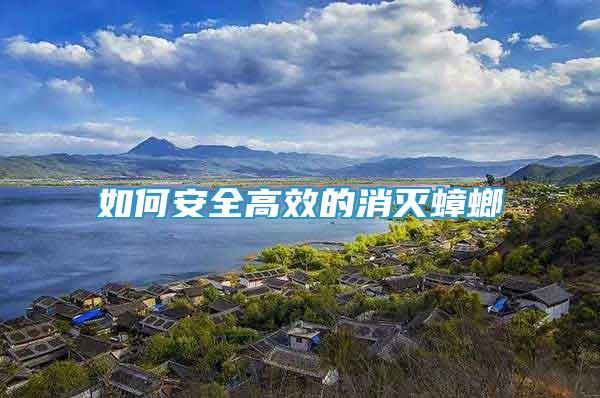 如何安全高效的消滅蟑螂