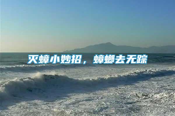 滅蟑小妙招，蟑螂去無蹤