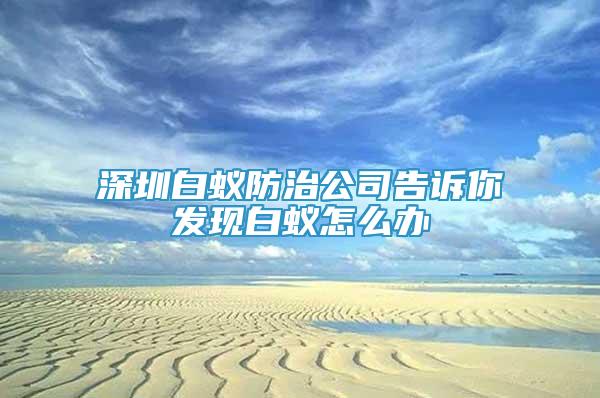 深圳白蟻防治公司告訴你發(fā)現(xiàn)白蟻怎么辦