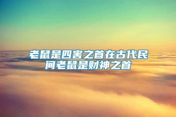 老鼠是四害之首在古代民間老鼠是財神之首