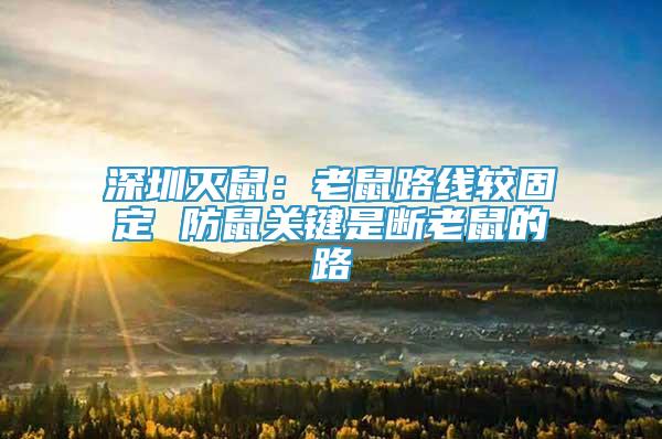 深圳滅鼠：老鼠路線較固定 防鼠關(guān)鍵是斷老鼠的路