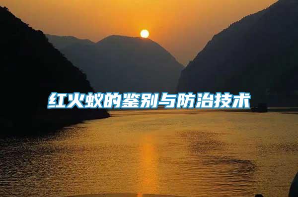 紅火蟻的鑒別與防治技術(shù)