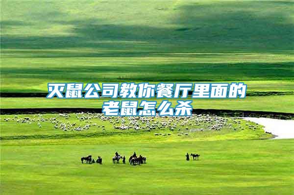 滅鼠公司教你餐廳里面的老鼠怎么殺