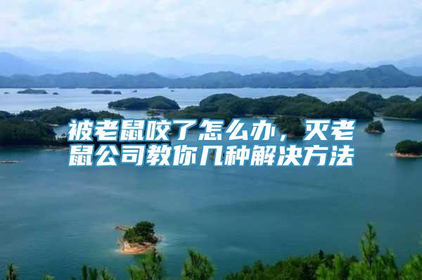 被老鼠咬了怎么辦，滅老鼠公司教你幾種解決方法