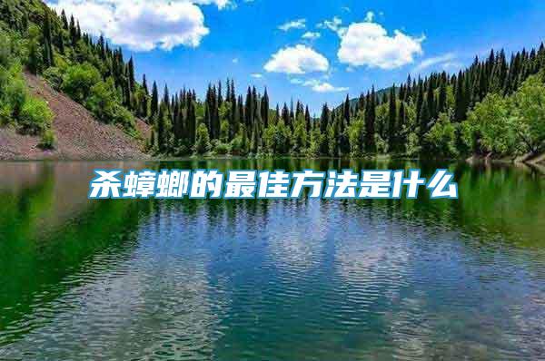 殺蟑螂的最佳方法是什么