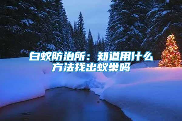 白蟻防治所：知道用什么方法找出蟻巢嗎