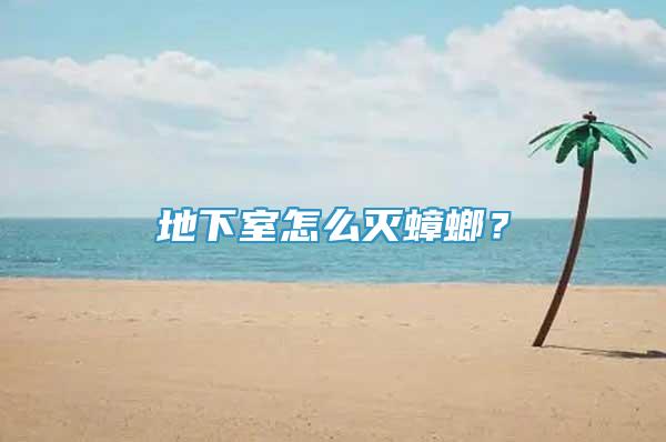 地下室怎么滅蟑螂？