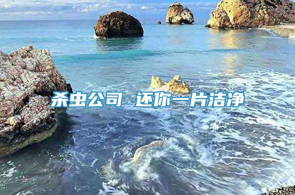 殺蟲公司 還你一片潔凈