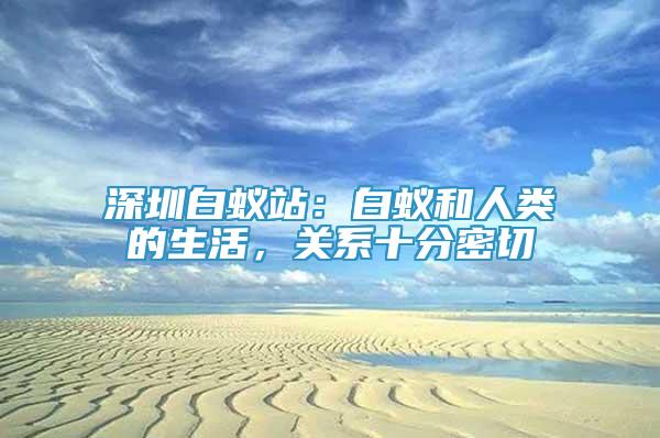 深圳白蟻站：白蟻和人類的生活，關(guān)系十分密切