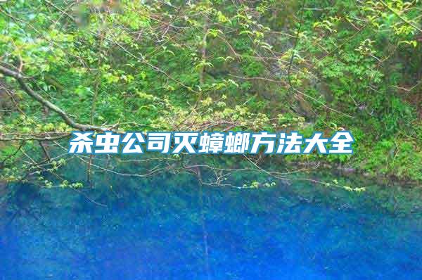 殺蟲公司滅蟑螂方法大全