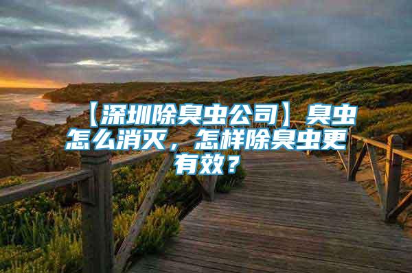 【深圳除臭蟲公司】臭蟲怎么消滅，怎樣除臭蟲更有效？