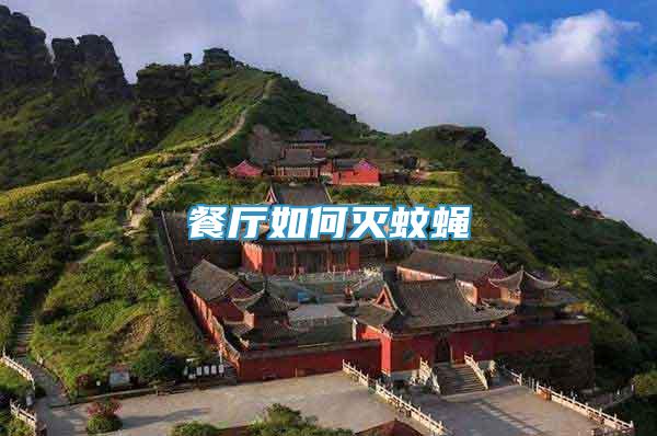 餐廳如何滅蚊蠅