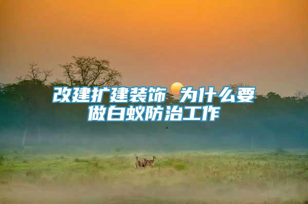 改建擴建裝飾 為什么要做白蟻防治工作