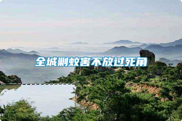全城剿蚊害不放過死角