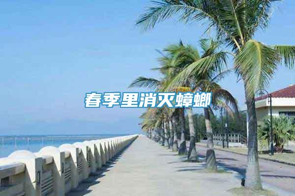 春季里消滅蟑螂