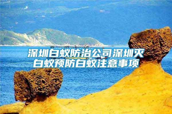深圳白蟻防治公司深圳滅白蟻預(yù)防白蟻?zhàn)⒁馐马?xiàng)