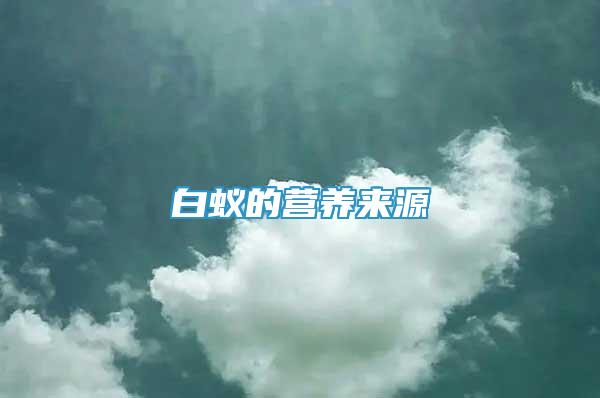 白蟻的營養(yǎng)來源