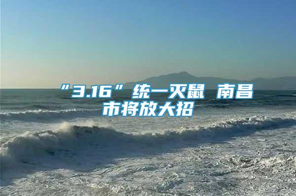 “3.16”統(tǒng)一滅鼠 南昌市將放大招