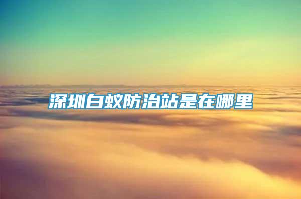 深圳白蟻防治站是在哪里