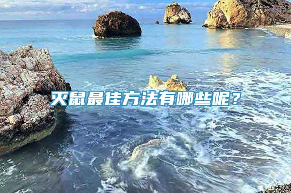 滅鼠最佳方法有哪些呢？