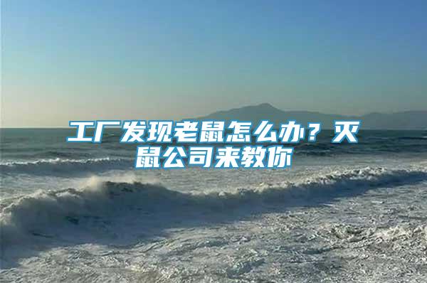 工廠發(fā)現(xiàn)老鼠怎么辦？滅鼠公司來(lái)教你