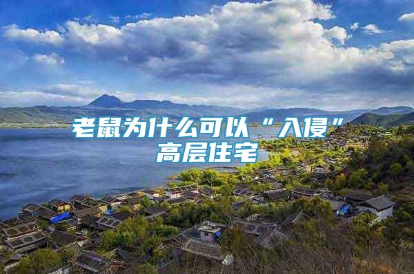老鼠為什么可以“入侵”高層住宅
