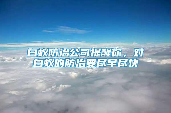 白蟻防治公司提醒你，對白蟻的防治要盡早盡快