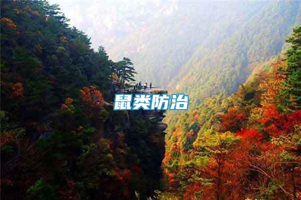 鼠類防治