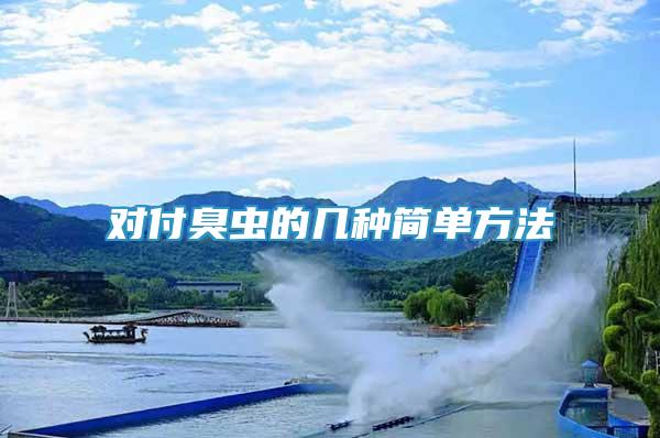 對付臭蟲的幾種簡單方法