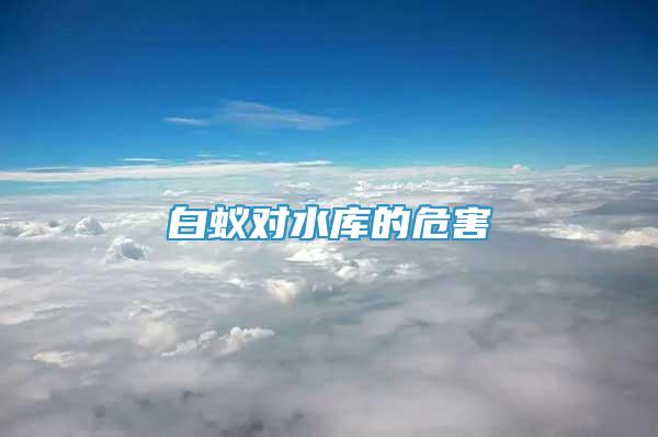 白蟻對水庫的危害