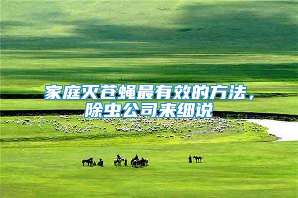 家庭滅蒼蠅最有效的方法，除蟲(chóng)公司來(lái)細(xì)說(shuō)