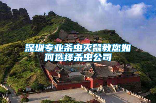 深圳專業(yè)殺蟲滅鼠教您如何選擇殺蟲公司