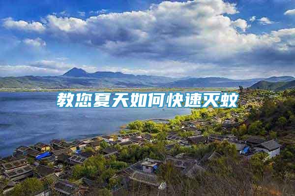 教您夏天如何快速滅蚊