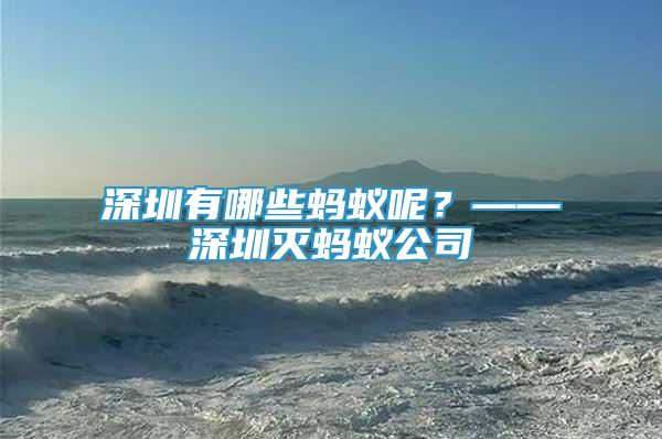 深圳有哪些螞蟻呢？——深圳滅螞蟻公司