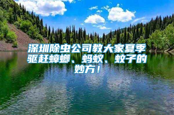 深圳除蟲公司教大家夏季驅(qū)趕蟑螂、螞蟻、蚊子的妙方！