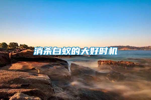 消殺白蟻的大好時機(jī)