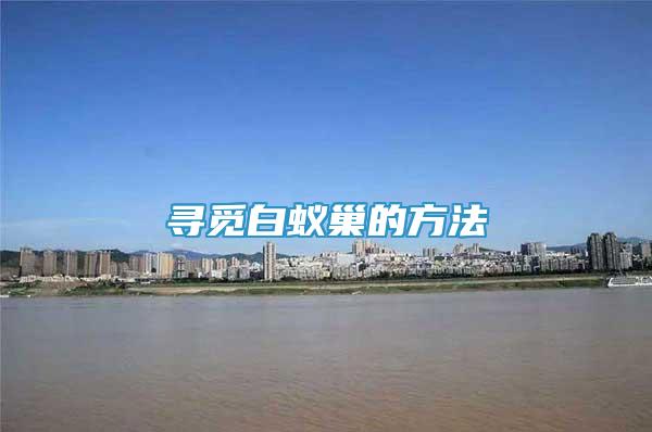 尋覓白蟻巢的方法