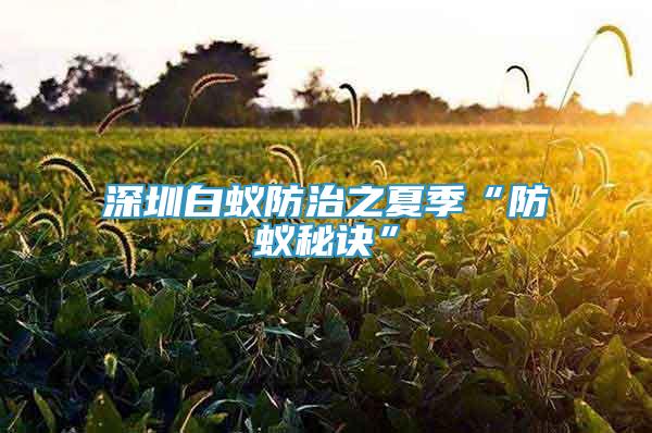 深圳白蟻防治之夏季“防蟻秘訣”