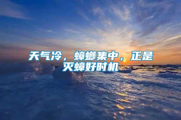 天氣冷，蟑螂集中，正是滅蟑好時(shí)機(jī)