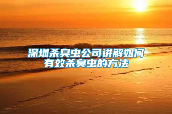 深圳殺臭蟲公司講解如何有效殺臭蟲的方法