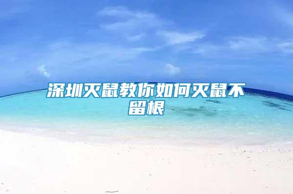 深圳滅鼠教你如何滅鼠不留根