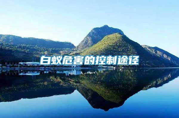 白蟻危害的控制途徑