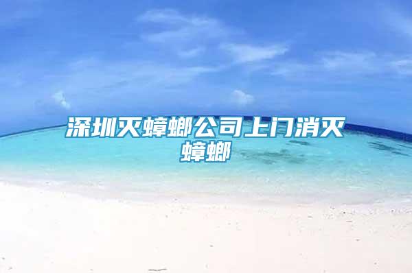 深圳滅蟑螂公司上門消滅蟑螂
