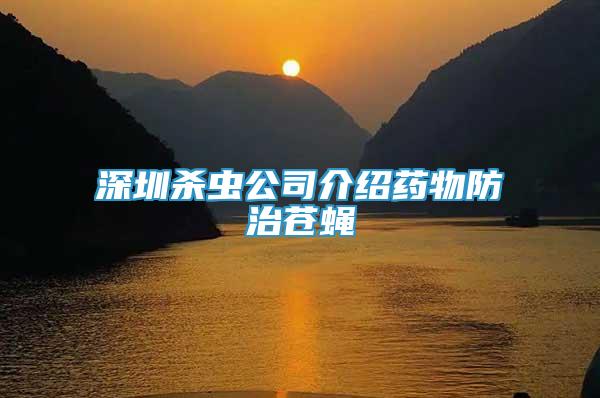 深圳殺蟲公司介紹藥物防治蒼蠅