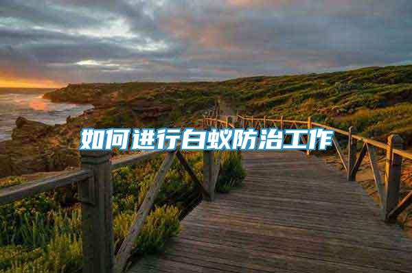 如何進行白蟻防治工作