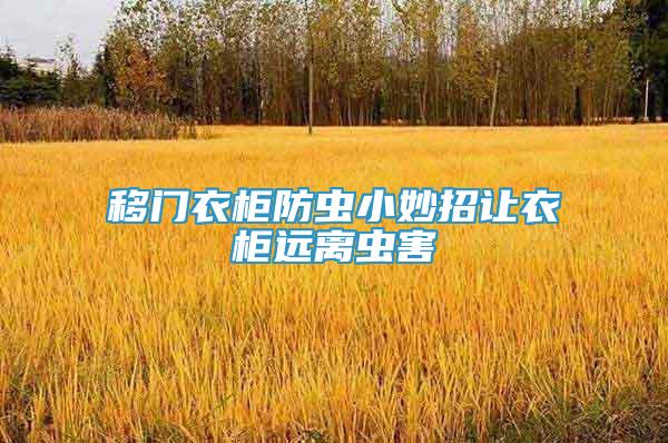 移門衣柜防蟲小妙招讓衣柜遠離蟲害