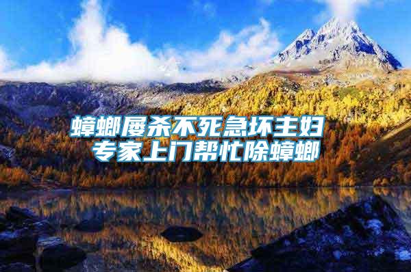 蟑螂屢殺不死急壞主婦 專家上門幫忙除蟑螂