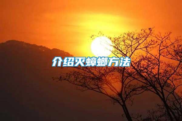 介紹滅蟑螂方法